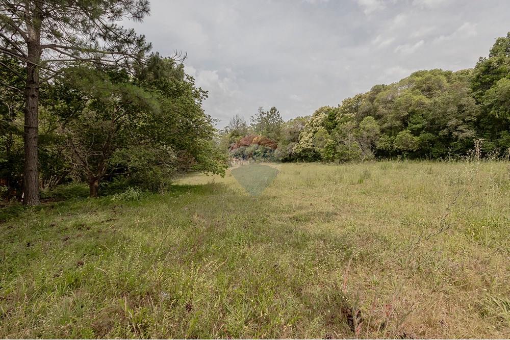 Terreno - Venda - Porto Alegre , Rio Grande do Sul - 0805-272 (14).jpg - 612521075-18