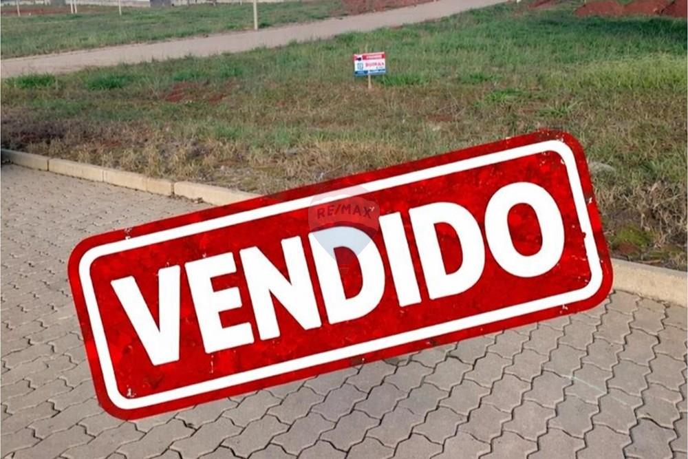 Terreno - Venda - Santa Cruz do Sul , Rio Grande do Sul - WhatsApp Image 2026-01-24 at 11.32.59.jpeg - 612741028-31