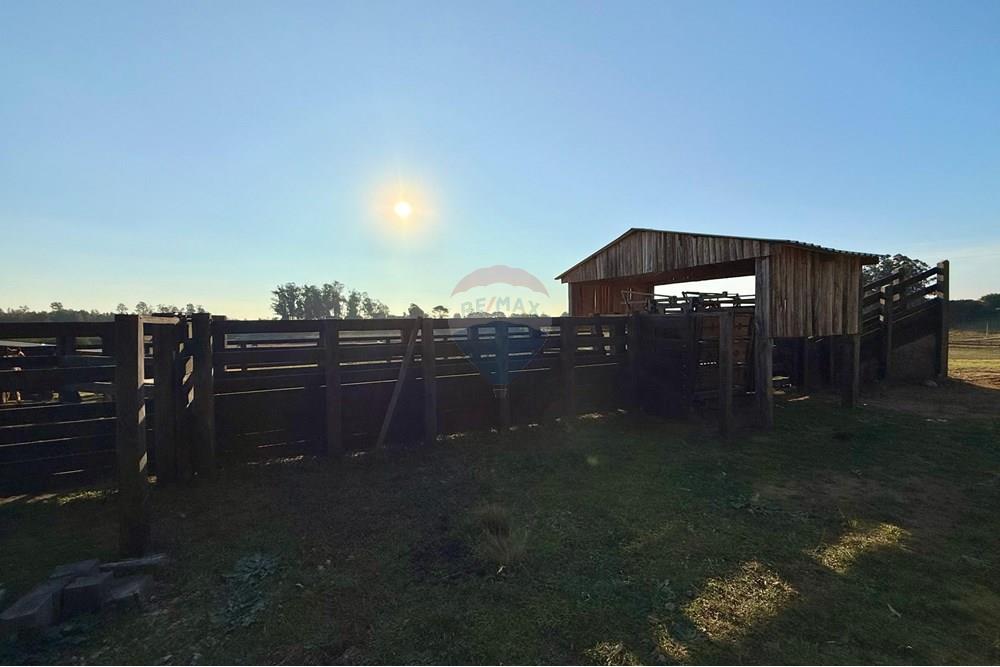 Chácara / Sítio / Fazenda - Venda - São Gabriel , Rio Grande do Sul - 24ba1526-2257-4cd5-878d-12ac51ccfc0a.jpeg - 612631037-9