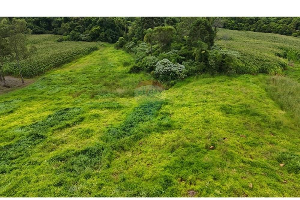 Chácara / Sítio / Fazenda - Venda - Gramado , Rio Grande do Sul - WhatsApp Image 2026-02-24 at 16.26.07 (16).jpeg - 610131034-44