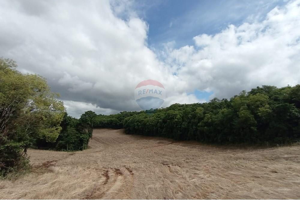 Chácara / Sítio / Fazenda - Venda - Sarandi , Rio Grande do Sul - WhatsApp Image 2025-11-26 at 16.01.40 (2).jpeg - 610341020-16