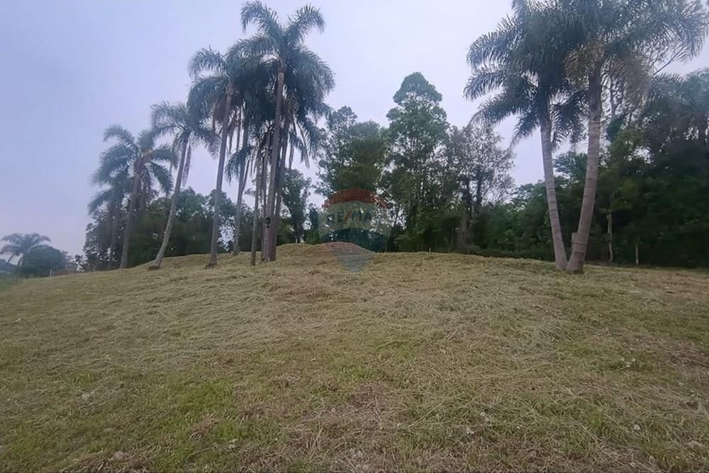 Terreno - Venda - Garibaldi , Rio Grande do Sul - WhatsApp Image 2025-10-31 at 15.00.10.jpeg - 610331050-3