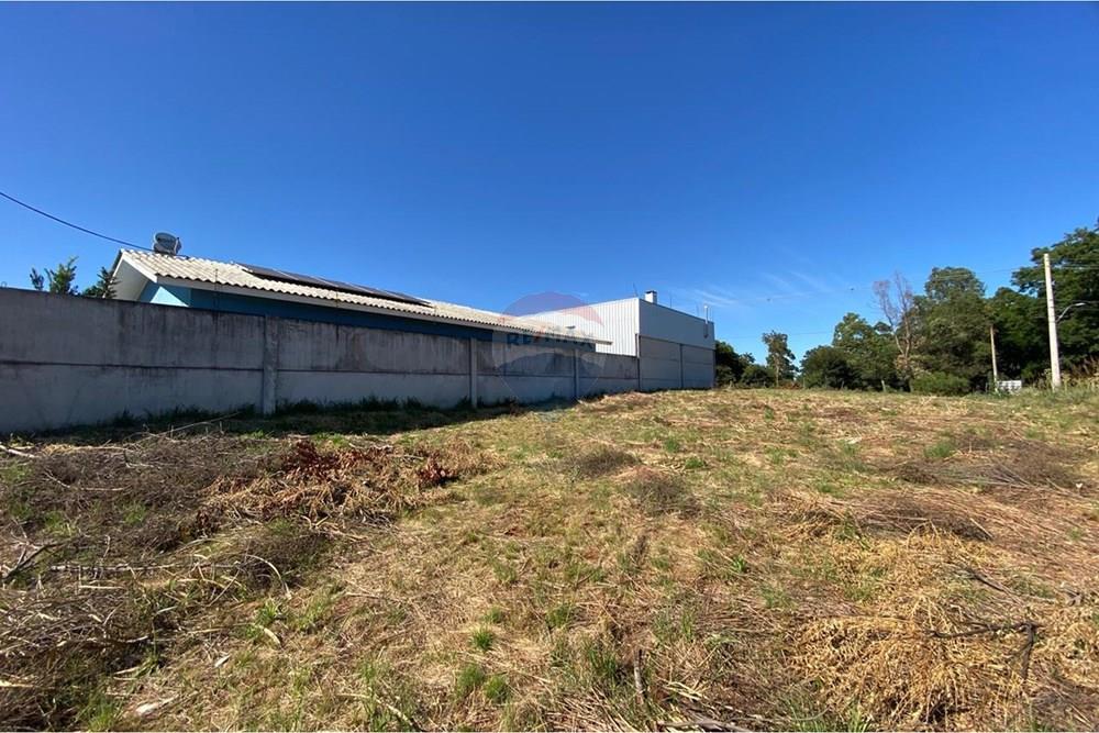 Terreno - Venda - Passo Fundo , Rio Grande do Sul - WhatsApp Image 2026-02-13 at 15.24.12.jpeg - 610271094-26