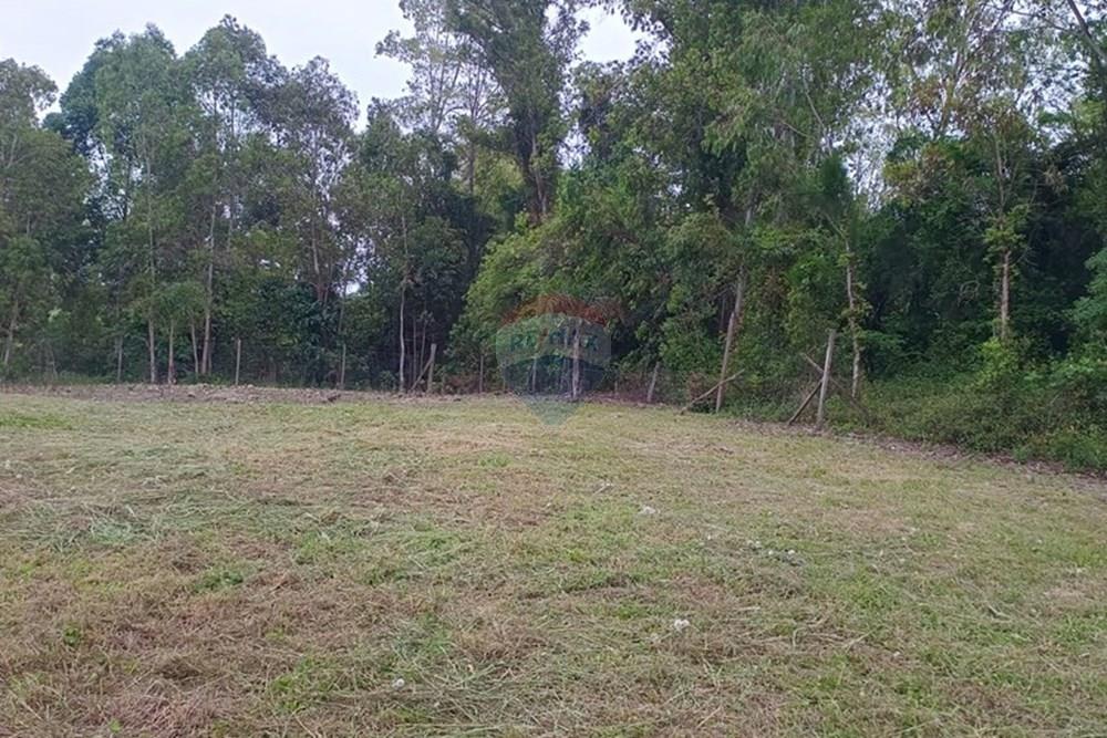 Terreno - Venda - Garibaldi , Rio Grande do Sul - WhatsApp Image 2025-10-31 at 15.00.10 (2).jpeg - 610331050-3