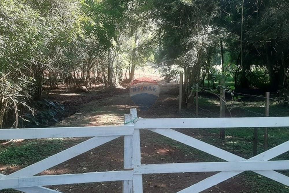 Chácara / Sítio / Fazenda - Venda - Lagoa dos Três Cantos , Rio Grande do Sul - 289d27e4-b673-4042-9d77-563b87c36c06.jpeg - 612701005-19