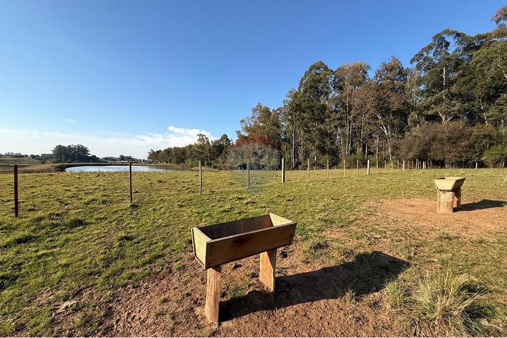 Chácara / Sítio / Fazenda - Venda - São Gabriel , Rio Grande do Sul - 26aa8b59-5297-499f-bc71-91e456e18061.jpeg - 612631037-9