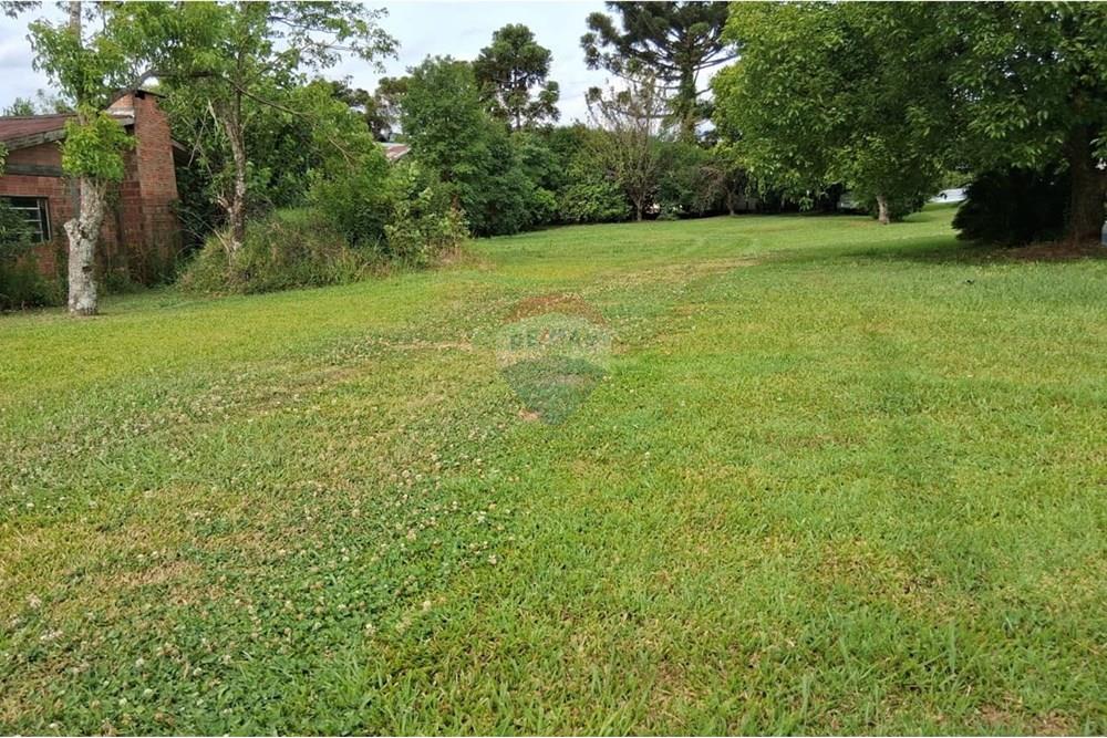 Terreno - Venda - Ibirapuitã , Rio Grande do Sul - WhatsApp Image 2025-12-01 at 16.35.04.jpeg - 610271103-10