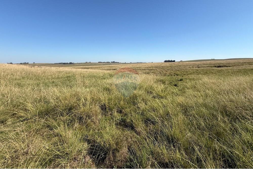 Chácara / Sítio / Fazenda - Venda - São Gabriel , Rio Grande do Sul - Imagem do WhatsApp de 2025-06-27 à(s) 23.45.38_9120b7b3.jpg - 612631046-8