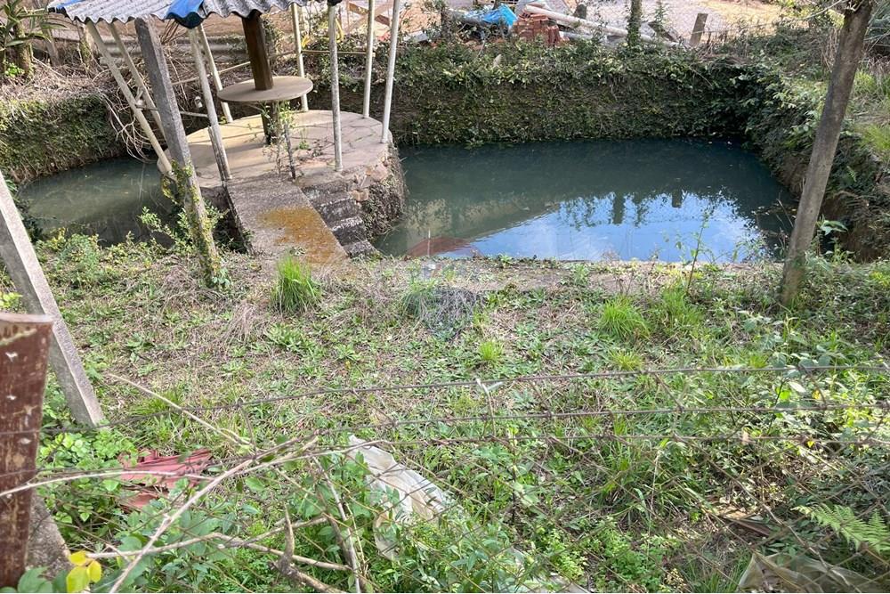 Terreno - Venda - Gramado , Rio Grande do Sul - IMG_4168.jpeg - 610131005-43