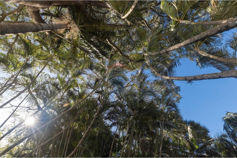 Casa - Venda - Santa Maria , Rio Grande do Sul - WhatsApp Image 2025-11-13 at 10.13.29 (1).jpeg - 610311134-14