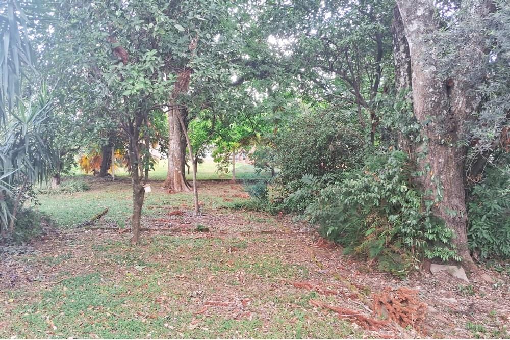 Casa - Venda - Tapera , Rio Grande do Sul - WhatsApp Image 2025-02-12 at 15.35.39.jpeg - 612701034-15