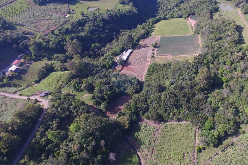 Terreno - Venda - Nova Pádua , Rio Grande do Sul - DJI_00471.jpg - 612551039-219