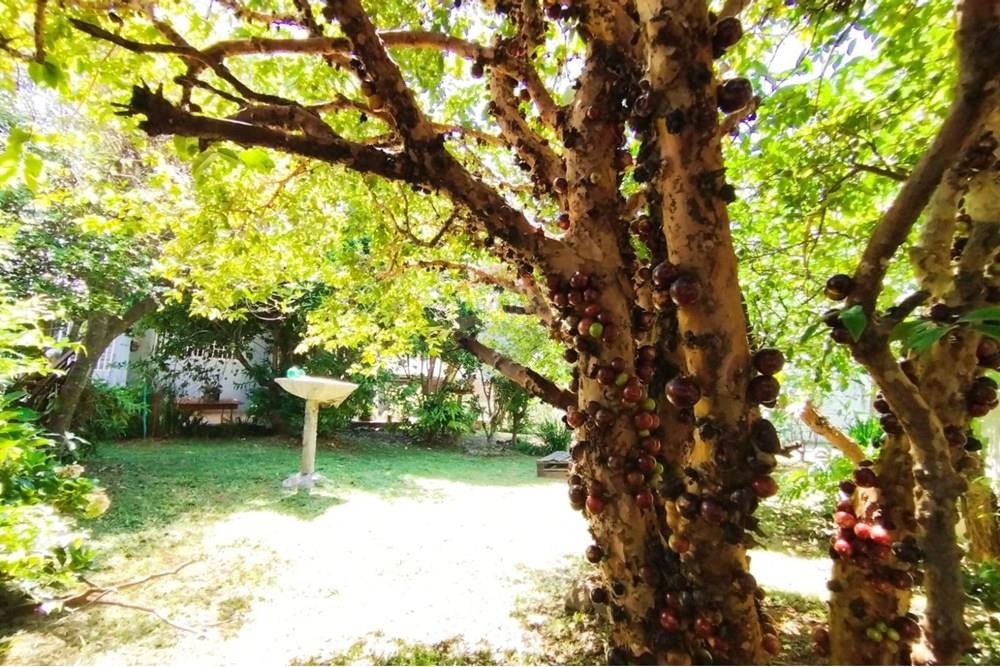 Casa - Venda - Sarandi , Rio Grande do Sul - WhatsApp Image 2025-02-21 at 16.30.30 (7).jpeg - 610341020-8