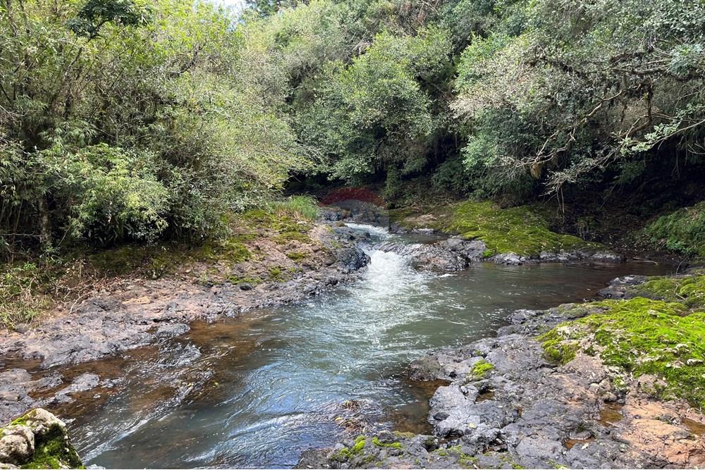 Fazenda - Venda - Lagoa Vermelha , Rio Grande do Sul - IMG_4194.jpg - 610111017-4