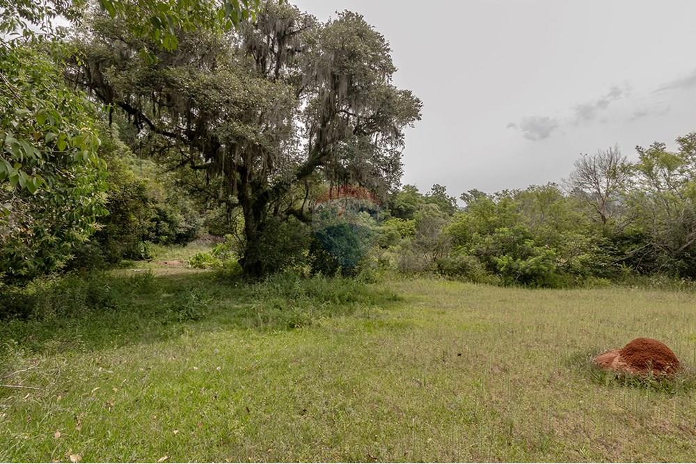 Terreno - Venda - Porto Alegre , Rio Grande do Sul - 0805-272 (22).jpg - 612521075-18