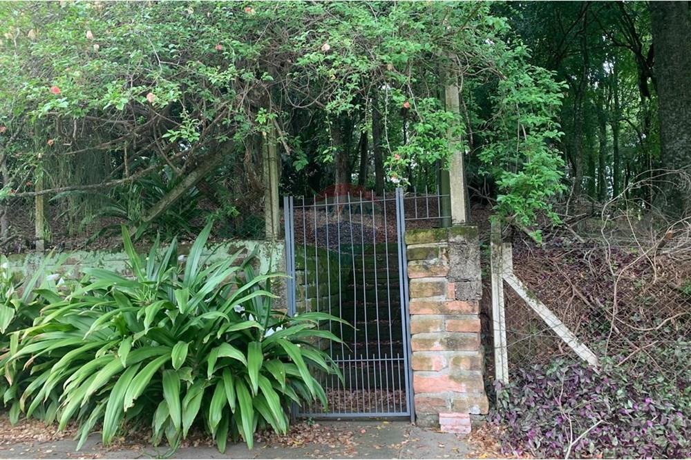 Terreno - Venda - Santa Cruz do Sul , Rio Grande do Sul - WhatsApp Image 2026-01-05 at 14.10.29.jpeg - 612741028-60