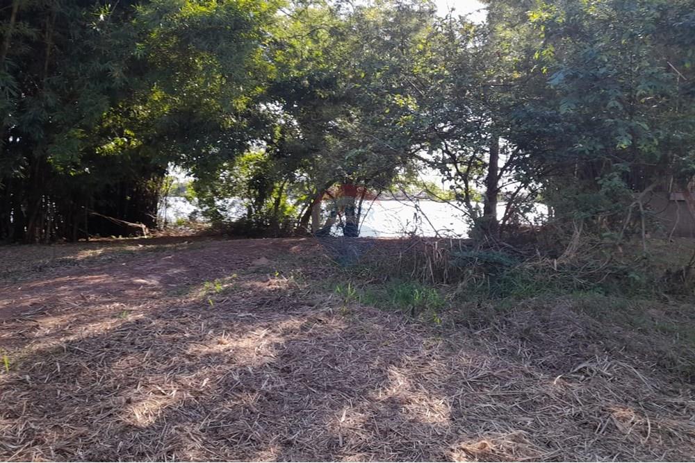 Terreno - Venda - Porto Alegre , Rio Grande do Sul - WhatsApp Image 2025-03-21 at 16.28.43 (1).jpeg - 612551008-93