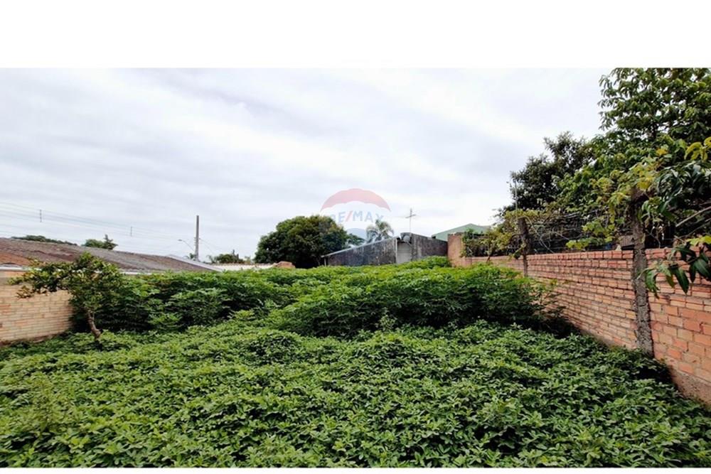 Terreno - Venda - Sapucaia do Sul , Rio Grande do Sul - 2025-03-17 at 13.56.55 (11)R Clovis Ely.jpeg - 612561040-16