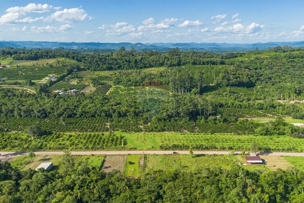 Terreno - Venda - Pareci Novo , Rio Grande do Sul - Foto-16.jpg - 610091005-86