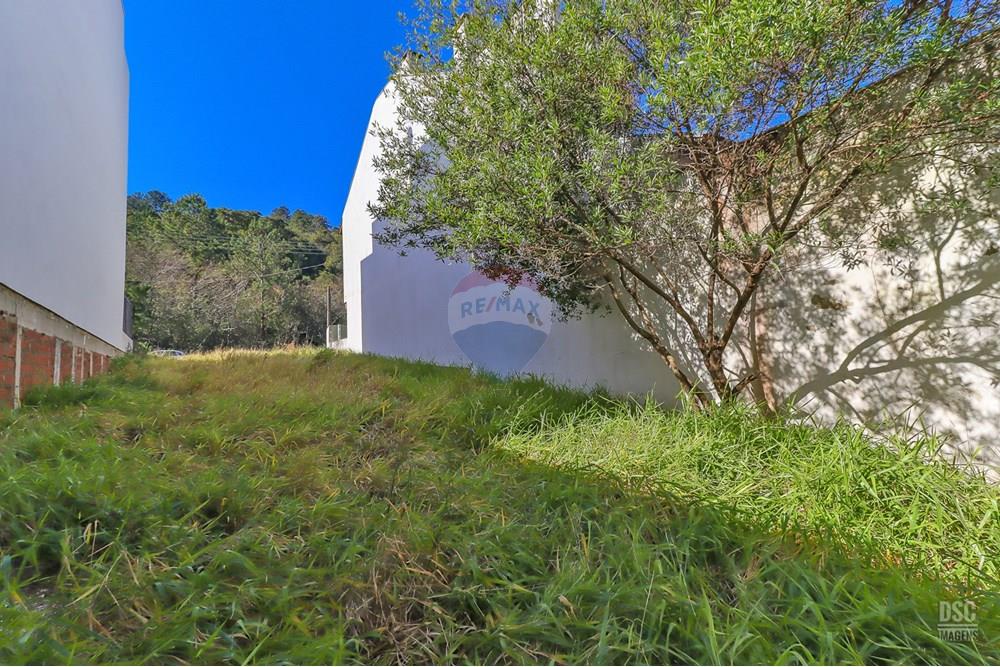 Terreno - Venda - Porto Alegre , Rio Grande do Sul - 5.jpg - 610191035-117