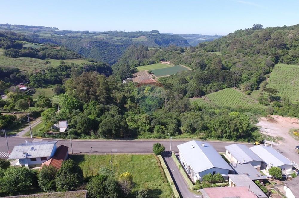 Terreno - Venda - Nova Pádua , Rio Grande do Sul - DJI_00921.jpg - 612551039-219