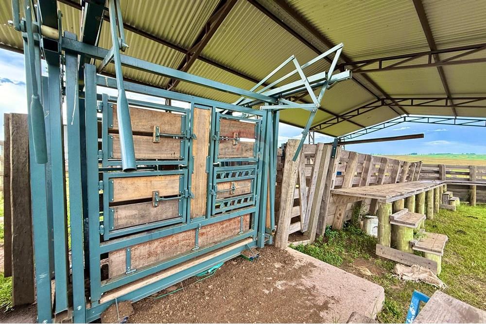 Chácara / Sítio / Fazenda - Venda - São Gabriel , Rio Grande do Sul - WhatsApp Image 2025-03-07 at 09.58.53.jpeg - 612631001-65