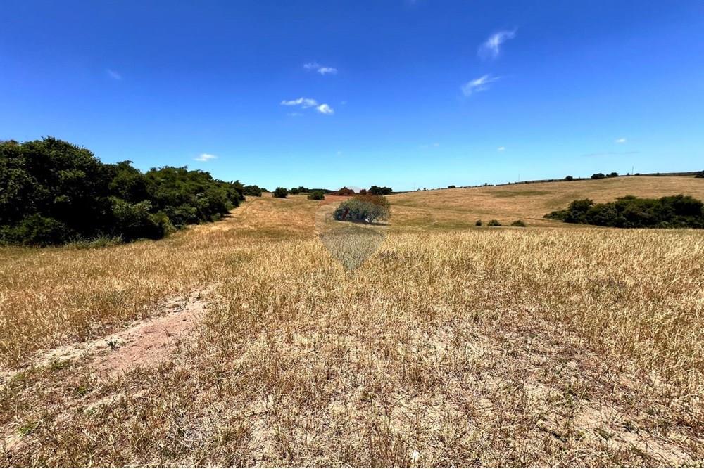 Chácara - Venda - Lavras do Sul , Rio Grande do Sul - WhatsApp Image 2025-01-13 at 22.58.00.jpeg - 612631031-7