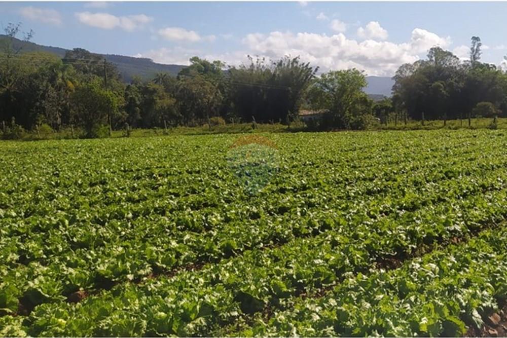 Terreno - Venda - Terra de Areia , Rio Grande do Sul - 94bb9fa9-2de5-405b-9b0c-143f182c3ea7.jpg - 612671028-46