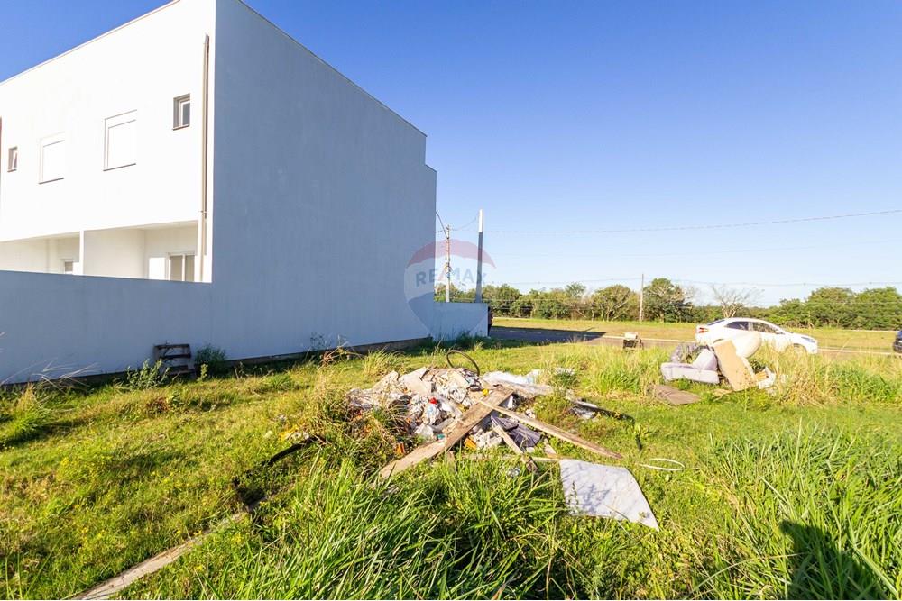 Terreno - Venda - Gravataí , Rio Grande do Sul - IMG_0588.jpg - 610051035-92