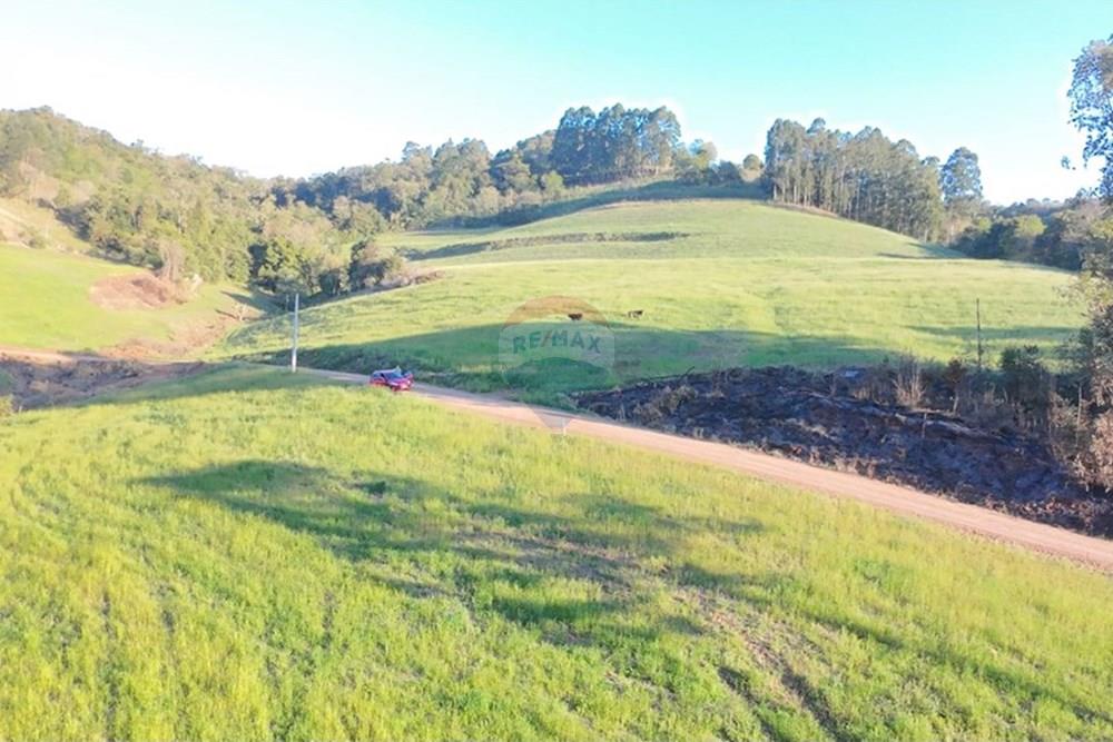 Agro - Venda - Três Palmeiras , Rio Grande do Sul - WhatsApp Image 2025-08-30 at 19.38.25 (2).jpeg - 610231001-208