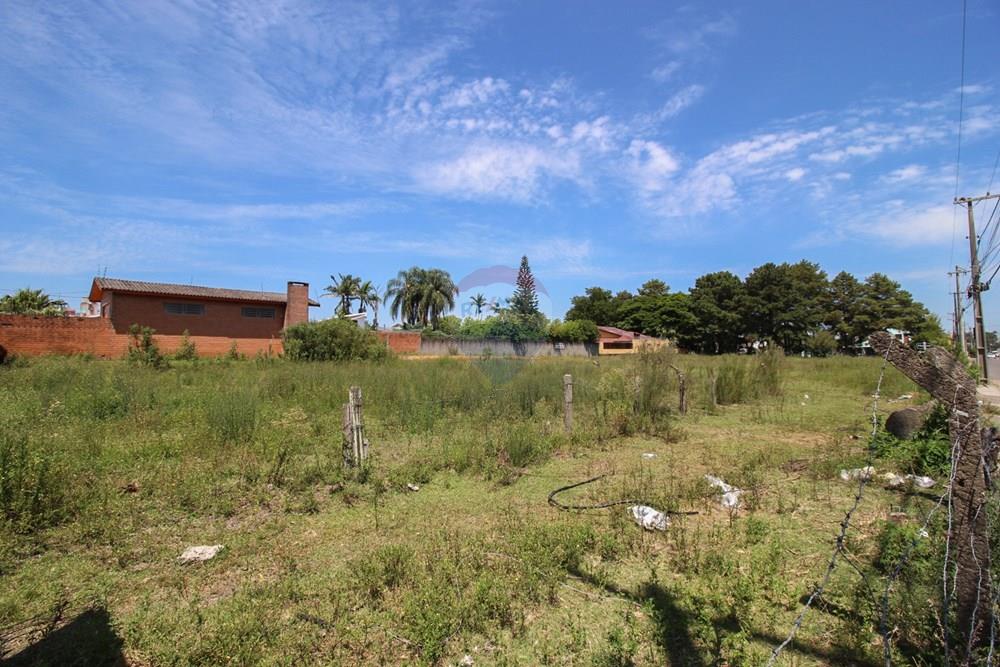 Terreno - Venda - Santa Maria , Rio Grande do Sul - IMG_4959.jpg - 610471031-19