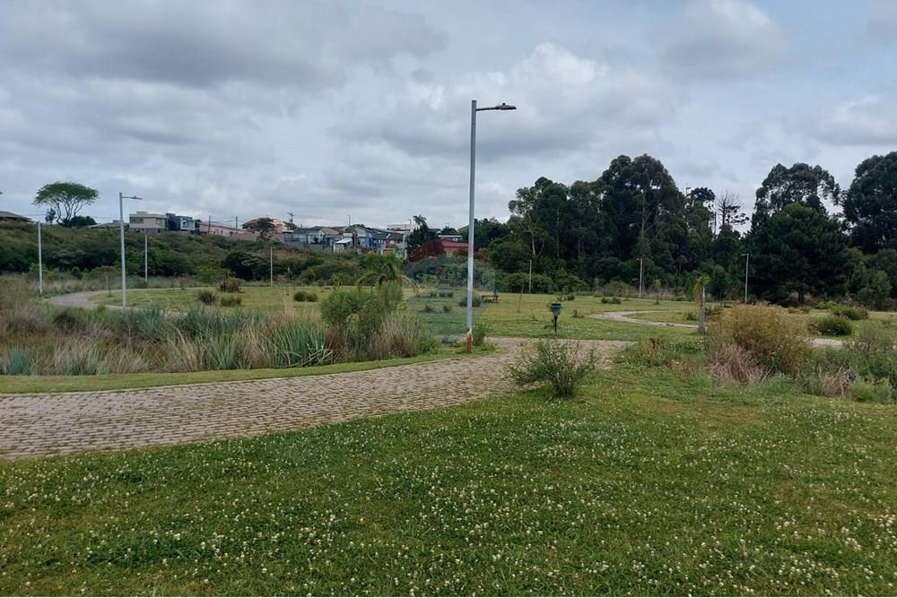 Terreno - Venda - Passo Fundo , Rio Grande do Sul - WhatsApp Image 2025-11-14 at 09.05.44 (1).jpeg - 612721047-1
