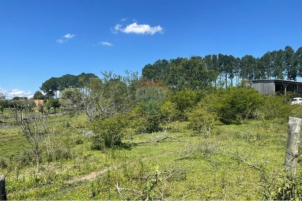 Terreno - Venda - Glorinha , Rio Grande do Sul - WhatsApp Image 2025-12-24 at 10.15.53 (3).jpeg - 610161100-57