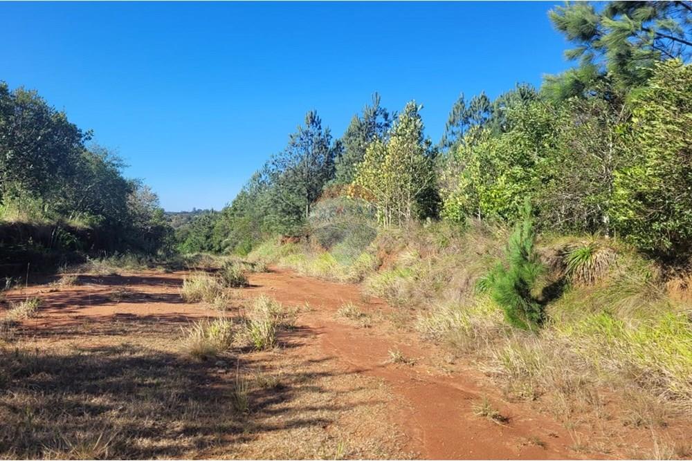Terreno - Venda - Viamão , Rio Grande do Sul - 0f422c0c-cf1c-42ba-94ef-07d9587f9109.jpg - 612541026-6