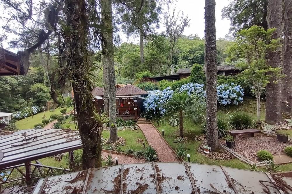 Casa - Venda - Canela , Rio Grande do Sul - WhatsApp Image 2025-12-15 at 13.40.49 (1).jpeg - 610131041-86