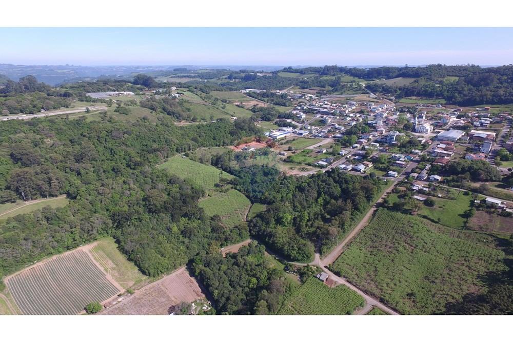 Terreno - Venda - Nova Pádua , Rio Grande do Sul - DJI_00841.jpg - 612551039-219