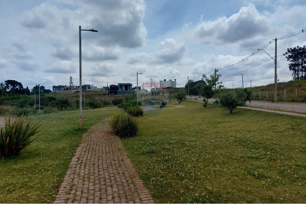 Terreno - Venda - Passo Fundo , Rio Grande do Sul - WhatsApp Image 2025-11-14 at 09.05.45.jpeg - 612721047-1