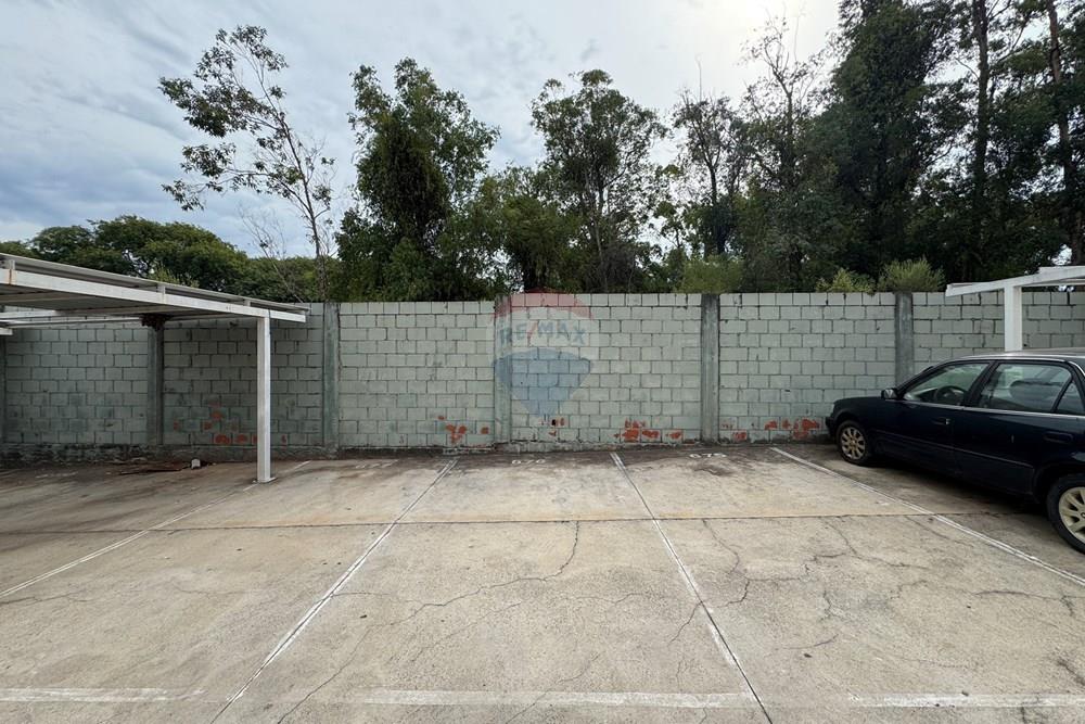 Apartamento - Venda - Santa Maria , Rio Grande do Sul - IMG_5418.jpg - 610311049-230