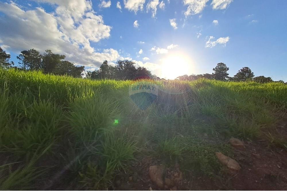 Terreno - Venda - Viamão , Rio Grande do Sul - Imagem do WhatsApp de 2025-03-13 à(s) 15.18.51_19190e8f.jpg - 612531034-104