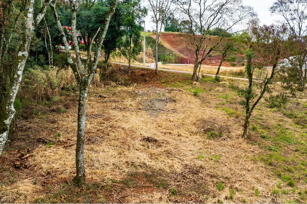 Terreno - Venda - Erechim , Rio Grande do Sul - DJI_0032.jpg - Pátio interno - 612761043-1