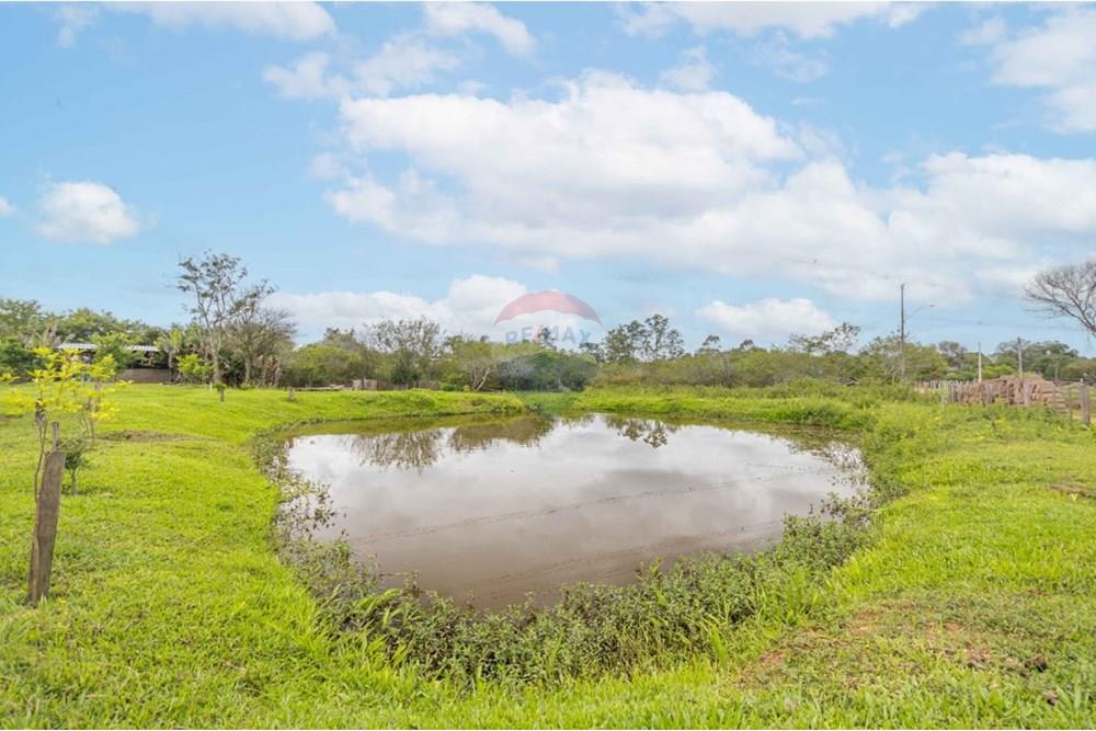 Chácara / Sítio / Fazenda - Venda - Gravataí , Rio Grande do Sul - WhatsApp Image 2025-06-23 at 21.16.32.jpeg - 610381018-3
