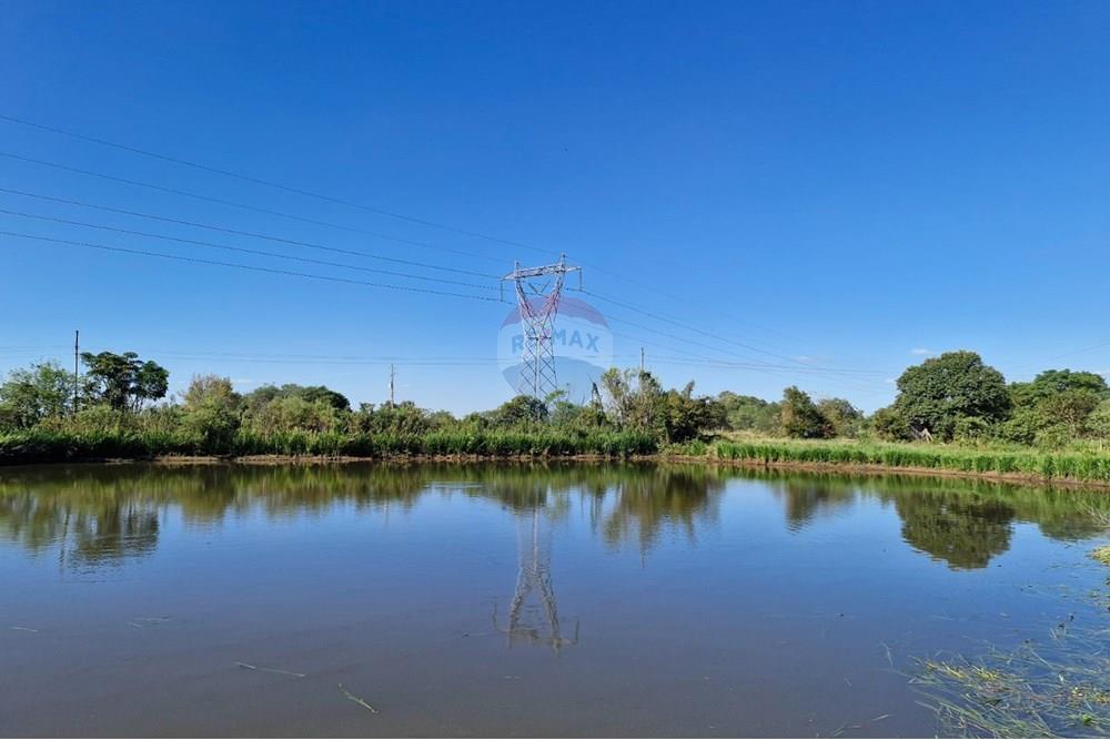Chácara / Sítio / Fazenda - Venda - Trindade do Sul , Rio Grande do Sul - IMG-20250305-WA0032.jpg - 610231004-87