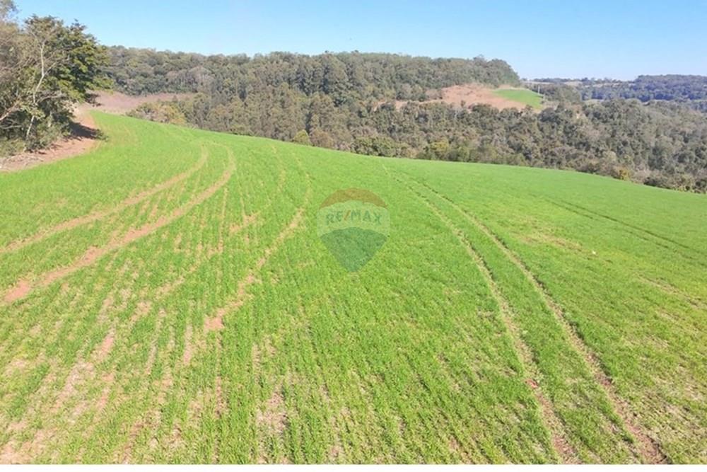 Chácara / Sítio / Fazenda - Venda - Trindade do Sul , Rio Grande do Sul - IMG-20250814-WA0073.jpg - 610231004-94