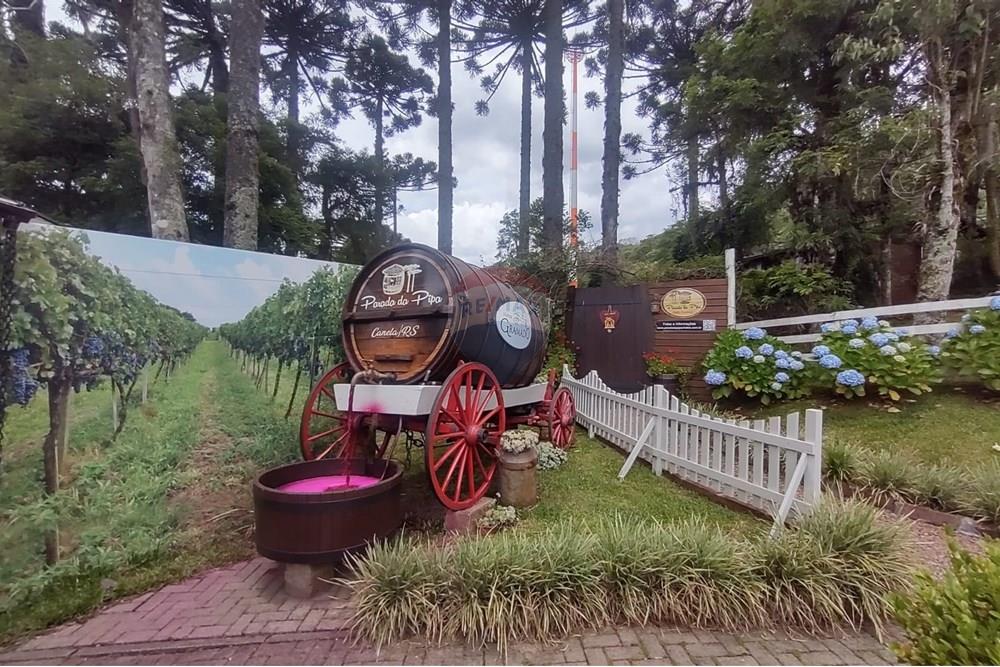 Casa - Venda - Canela , Rio Grande do Sul - WhatsApp Image 2025-12-15 at 13.41.23.jpeg - 610131041-86