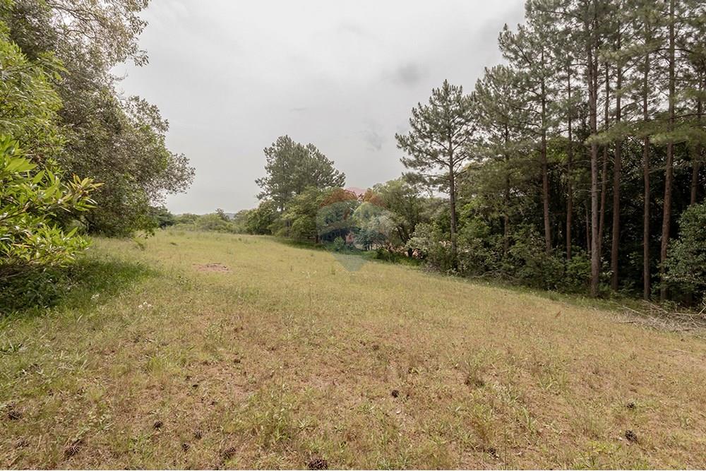 Terreno - Venda - Porto Alegre , Rio Grande do Sul - 0805-272 (20).jpg - 612521075-18