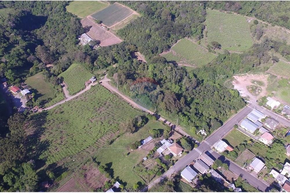 Terreno - Venda - Nova Pádua , Rio Grande do Sul - DJI_00641.jpg - 612551039-219