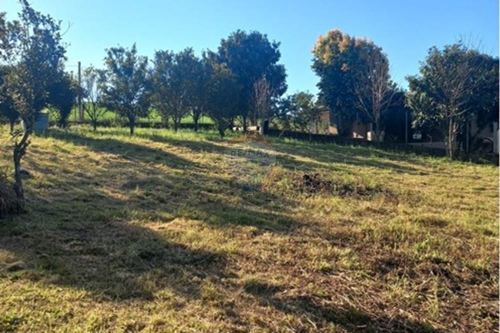 Terreno - Venda - Trindade do Sul , Rio Grande do Sul - WhatsApp Image 2025-09-10 at 00.59.33.jpeg - 610231035-3