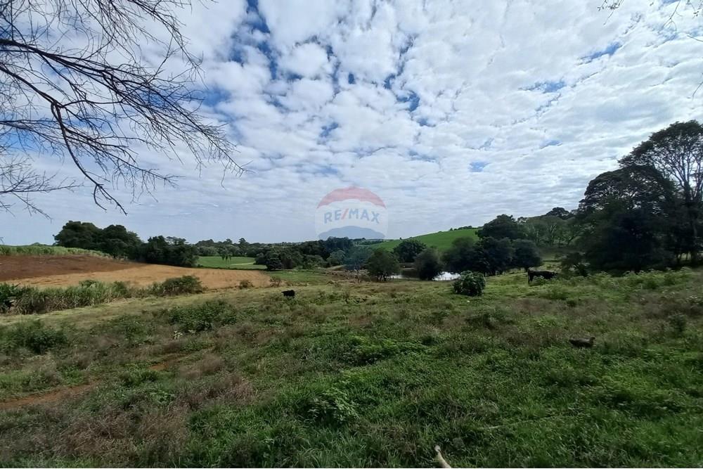 Chácara / Sítio / Fazenda - Venda - Nonoai , Rio Grande do Sul - 1000558508.jpg - 610231010-128