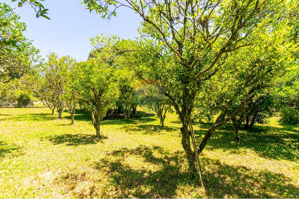 Chácara / Sítio / Fazenda - Venda - Gravataí , Rio Grande do Sul - LRP 24.jpg - 612551082-7