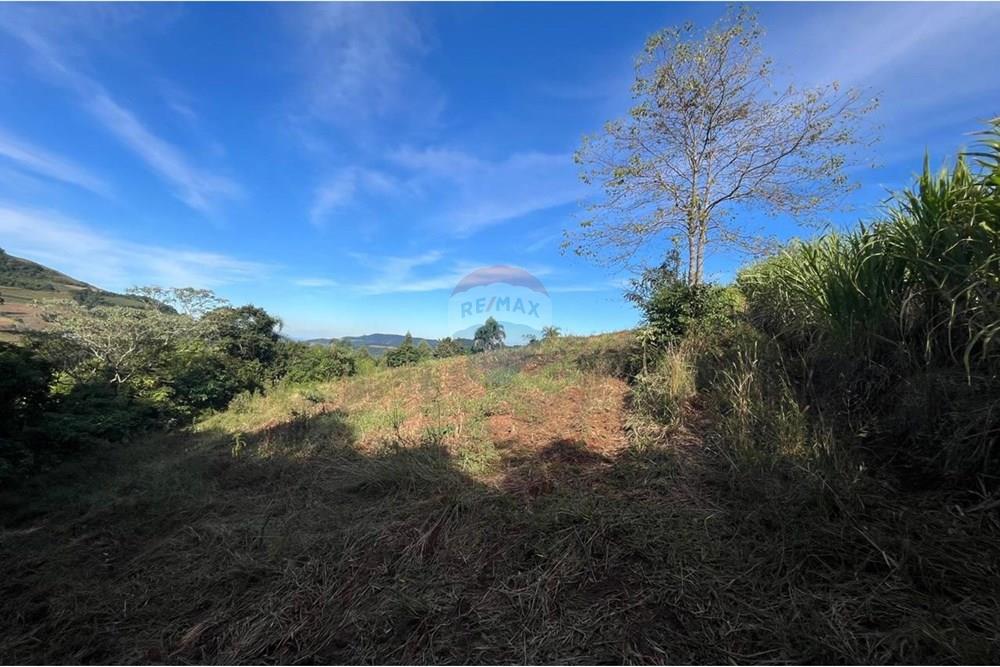 Chácara / Sítio / Fazenda - Venda - Santa Cruz do Sul , Rio Grande do Sul - WhatsApp Image 2025-06-11 at 15.36.18.jpeg - 612741028-54